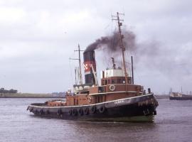 The Steam Tug Servia